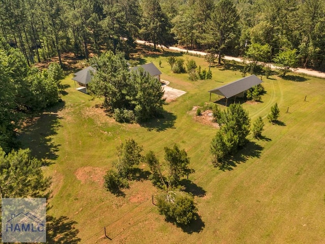 791 Stafford Dairy Rd SE, Ludowici, GA 31316 - aerial view of property and surrounding area featuring a heavily wooded area