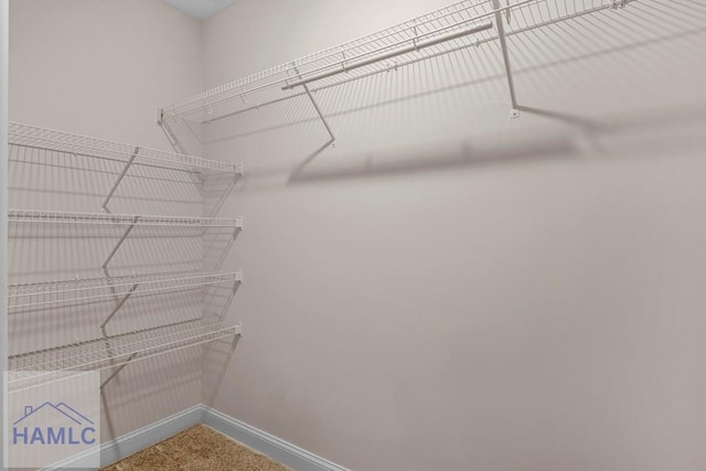 791 Stafford Dairy Rd SE, Ludowici, GA 31316 - spacious closet with carpet floors
