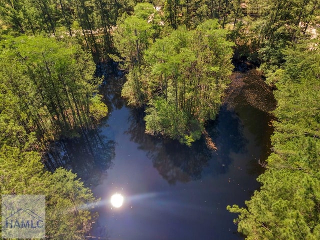 791 Stafford Dairy Rd SE, Ludowici, GA 31316 - drone / aerial view