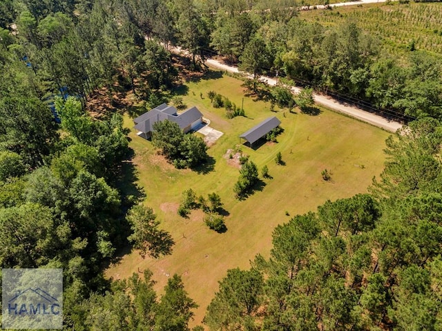 791 Stafford Dairy Rd SE, Ludowici, GA 31316 - overview of rural landscape with a heavily wooded area