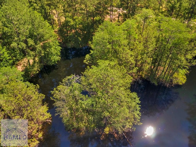 791 Stafford Dairy Rd SE, Ludowici, GA 31316 - aerial view of a heavily wooded area and a large body of water