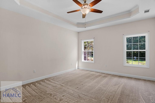 791 Stafford Dairy Rd SE, Ludowici, GA 31316 - unfurnished room featuring a raised ceiling, ceiling fan, crown molding, baseboards, and carpet flooring