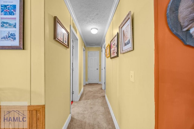 1615 Retreat Rd, Riceboro, GA 31323 - photo 13