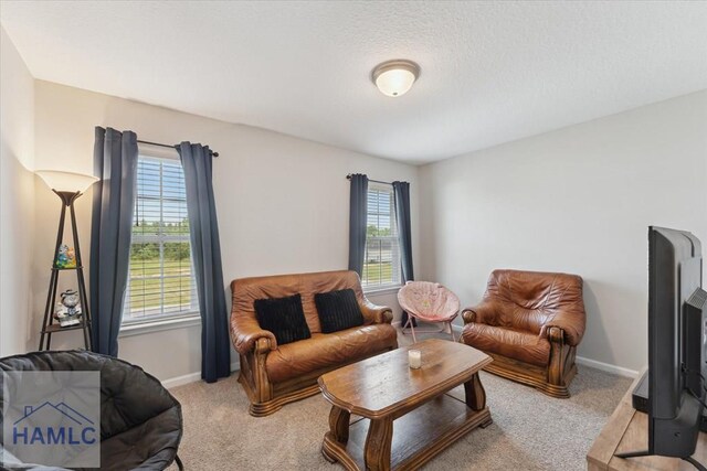 263NE Summer Hill Dr, Ludowici, GA 31316 - living area with carpet floors and baseboards