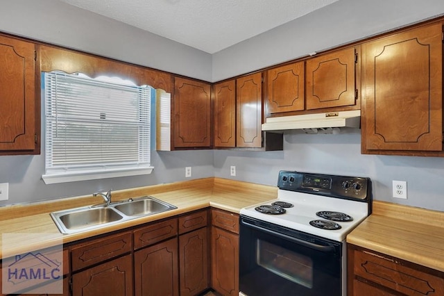 kitchen with white range with electric cooktop and sink