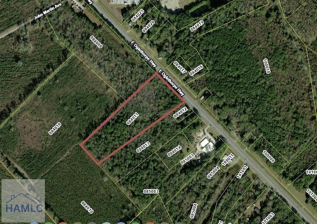 9.33AC E Oglethorpe Hwy, Flemington GA, 31313 land for sale