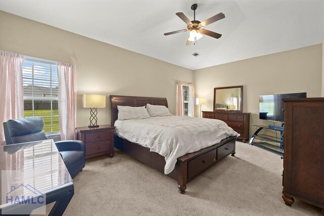 137 Highland Pony Way, Ludowici, GA 31316 - photo 9