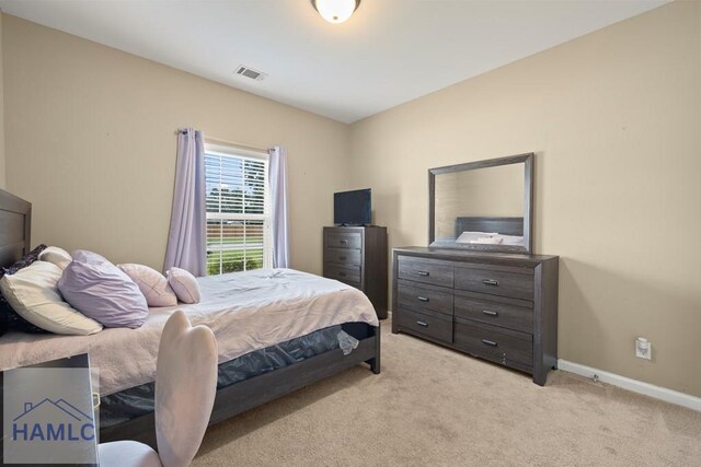 137 Highland Pony Way, Ludowici, GA 31316 - photo 14