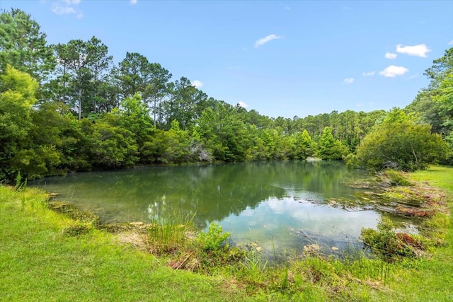 1198 Fiddlers Cv, Townsend, GA 31331
