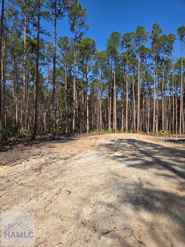 5930 Cox Rd, Townsend, GA 31331 - photo 3