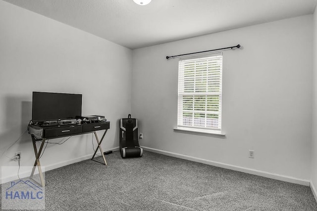 134 Dove Run Dr NE, Ludowici, GA 31316 - office area with carpet and baseboards