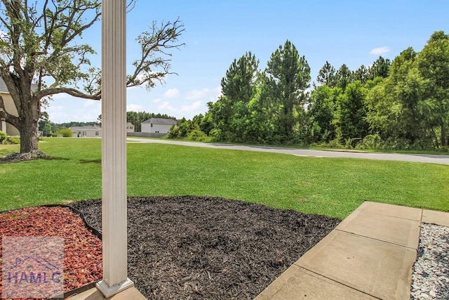 134 Dove Run Dr NE, Ludowici, GA 31316 - view of grassy yard