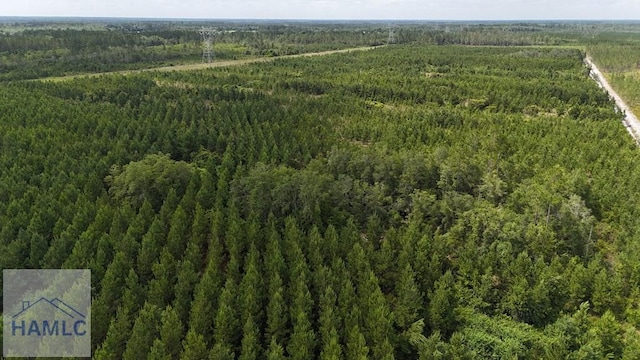 TRACT1 Trudie Rd, Blackshear, GA 31516 - photo 3