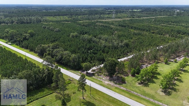 TRACT1 Trudie Rd, Blackshear, GA 31516 - photo 1