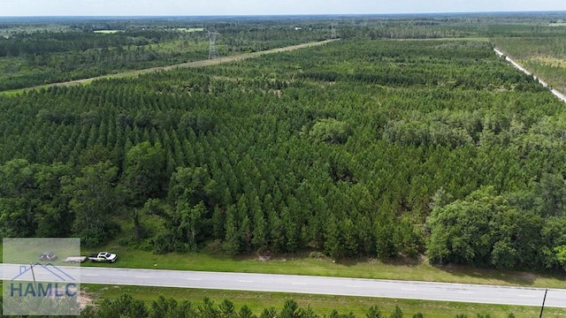 TRACT1 Trudie Rd, Blackshear, GA 31516 - photo 2