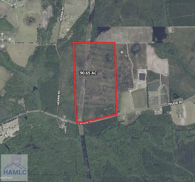TRACT1 Trudie Rd, Blackshear, GA 31516 - photo 5
