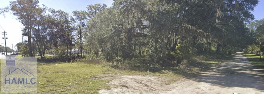 1.92AC Oglethorpe Hwy, Hinesville, GA 31313 - photo 4