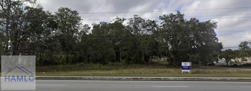 1.92AC Oglethorpe Hwy, Hinesville, GA 31313 - photo 1