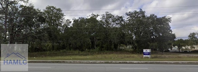 1.92AC Oglethorpe Hwy, Hinesville, GA 31313 - photo 1