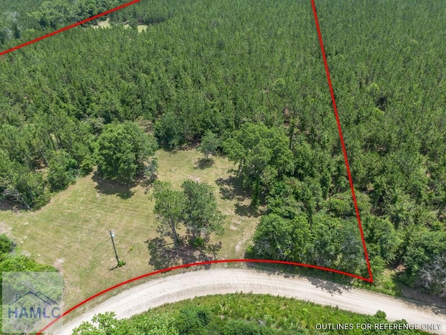 0 Oriole Rd, Alma, GA 31510 - photo 3