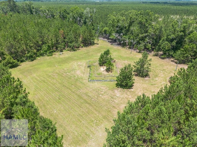 0 Oriole Rd, Alma, GA 31510 - photo 7