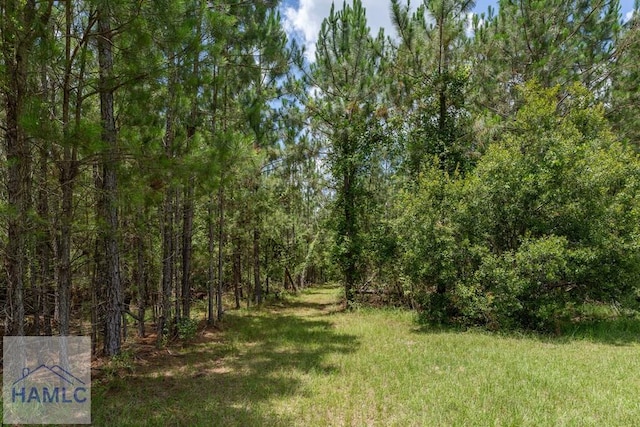 0 Oriole Rd, Alma, GA 31510 - photo 23