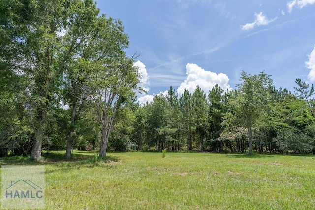 0 Oriole Rd, Alma, GA 31510 - photo 11
