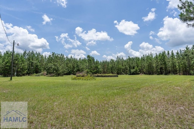 0 Oriole Rd, Alma, GA 31510 - photo 16