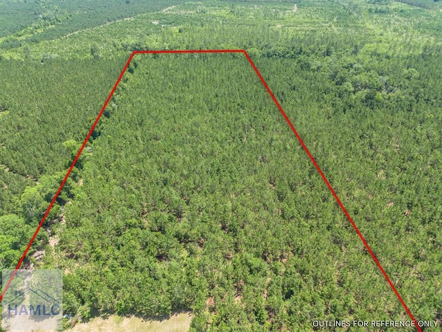 0 Oriole Rd, Alma, GA 31510 - photo 6