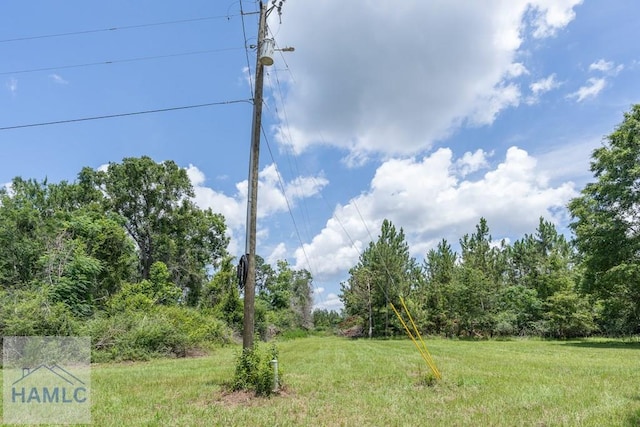 0 Oriole Rd, Alma, GA 31510 - photo 14