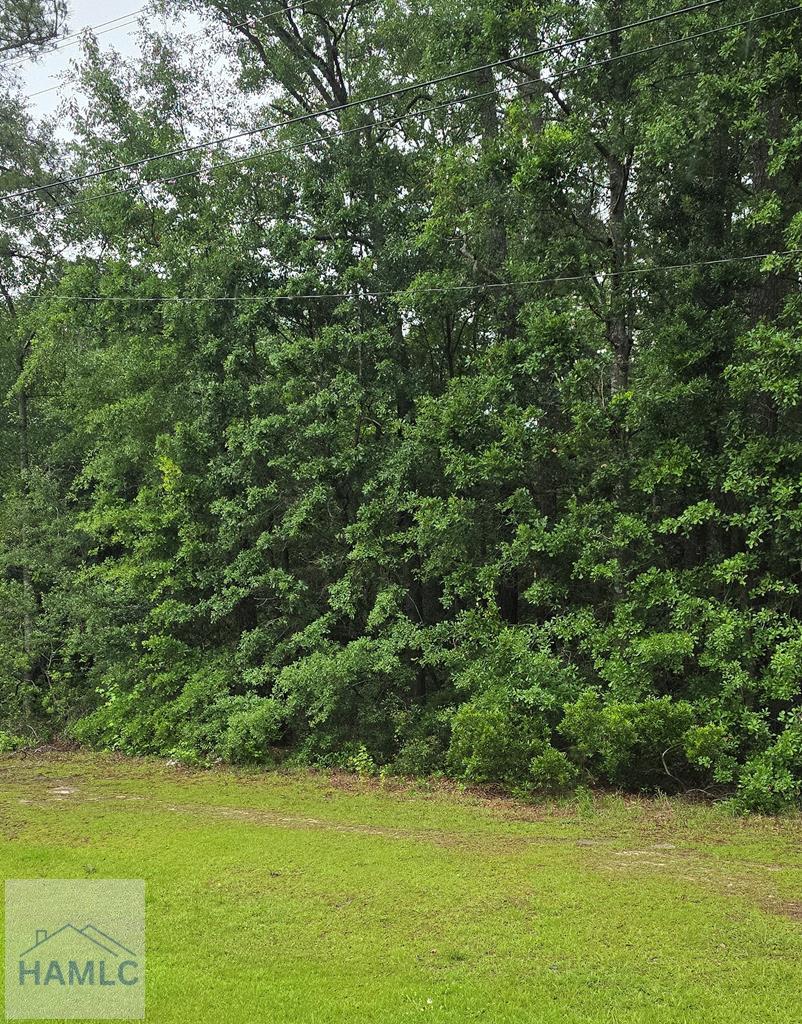5750 Coastal Hwy, Riceboro, GA 31323 - photo 1