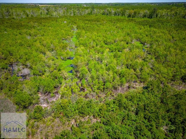 TRACT1 Scuffletown Rd, Bristol, GA 31518 - photo 14