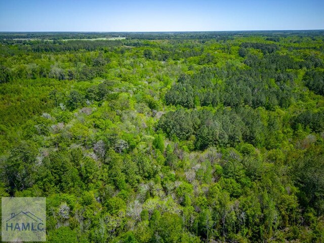 TRACT1 Scuffletown Rd, Bristol, GA 31518 - photo 7