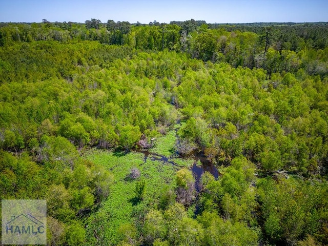 TRACT1 Scuffletown Rd, Bristol, GA 31518 - photo 11