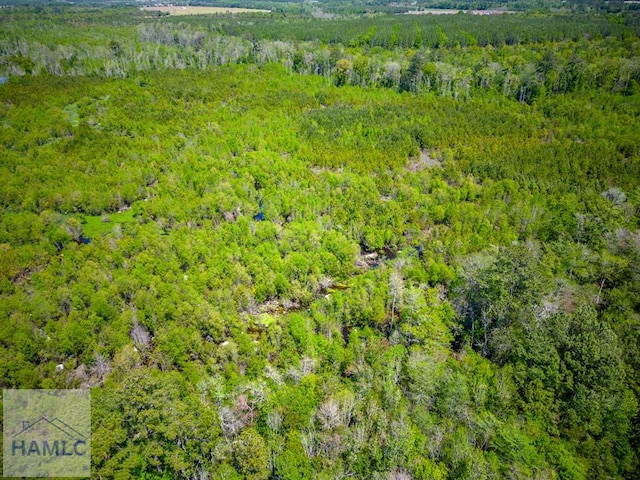 TRACT1 Scuffletown Rd, Bristol, GA 31518 - photo 4