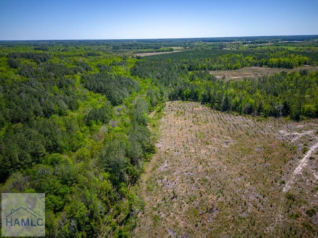 TRACT1 Scuffletown Rd, Bristol, GA 31518 - photo 6