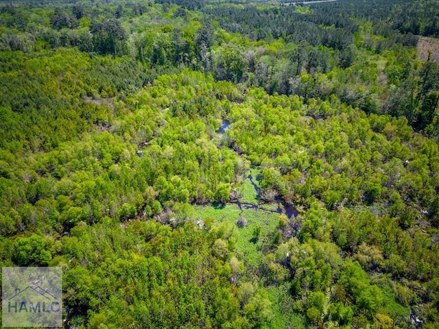 TRACT1 Scuffletown Rd, Bristol, GA 31518 - photo 12