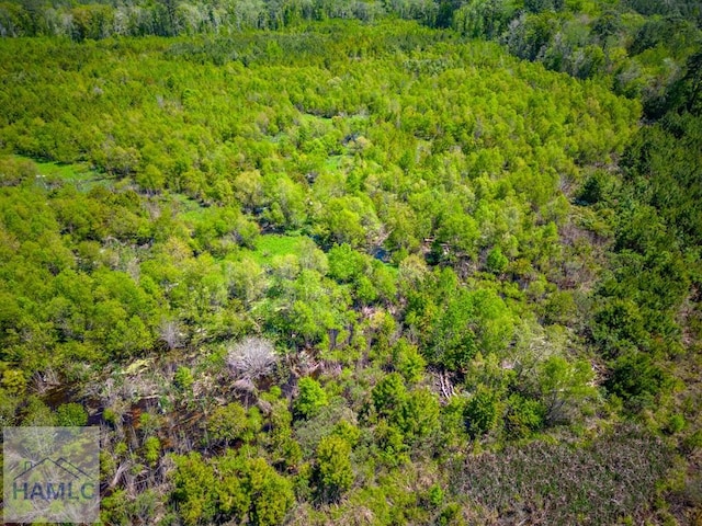 TRACT1 Scuffletown Rd, Bristol, GA 31518 - photo 13