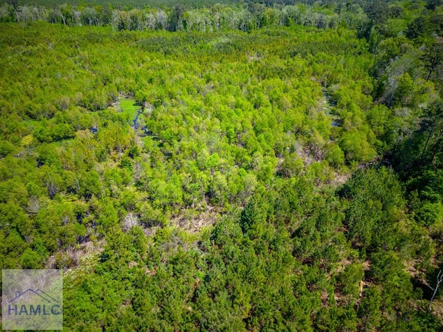 TRACT1 Scuffletown Rd, Bristol, GA 31518 - photo 8