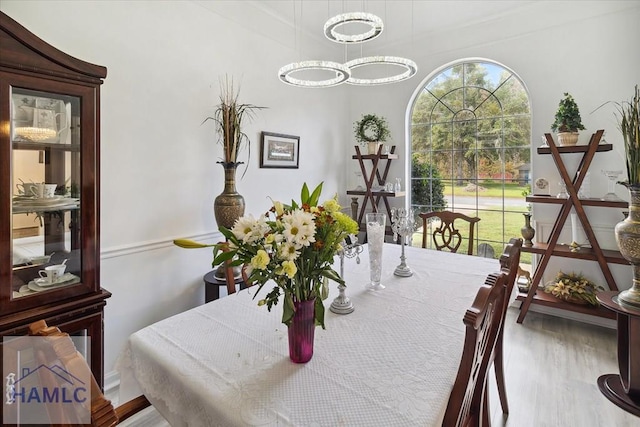 dining room featuring wood-type flooring and an inviting chandelier