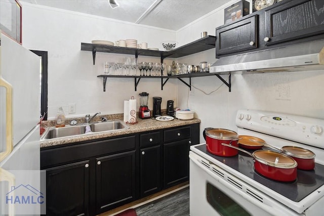 kitchen with sink, dark wood-type flooring, white appliances, and ornamental molding