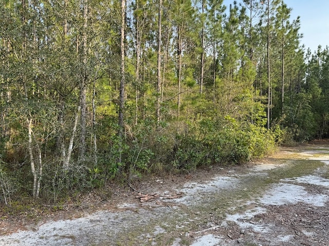 1139 Henry Walcott Rd, Ludowici, GA 31316 - photo 5