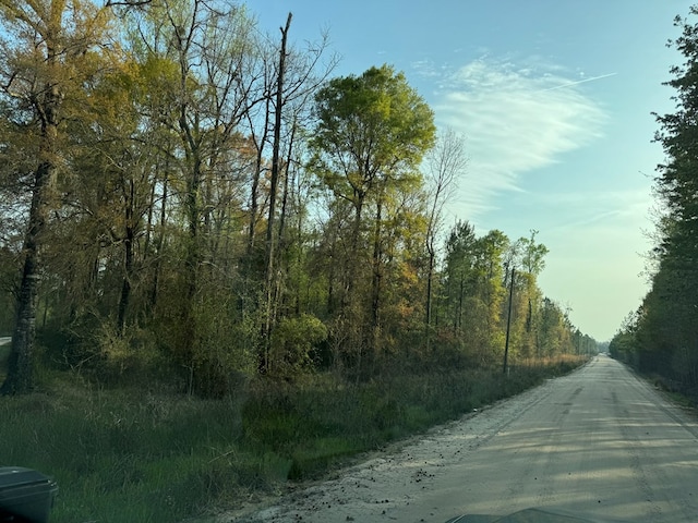 1139 Henry Walcott Rd, Ludowici, GA 31316 - photo 8