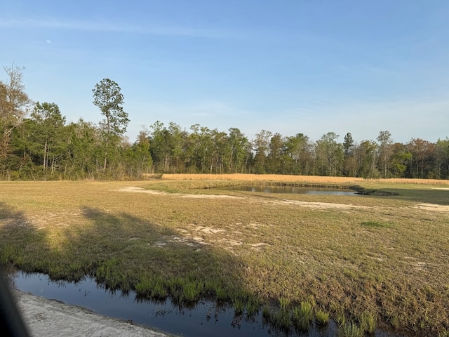 1139 Henry Walcott Rd, Ludowici, GA 31316 - photo 7