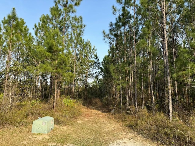 1139 Henry Walcott Rd, Ludowici, GA 31316 - photo 1