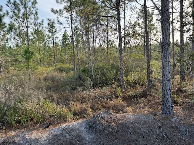1139 Henry Walcott Rd, Ludowici, GA 31316 - photo 9