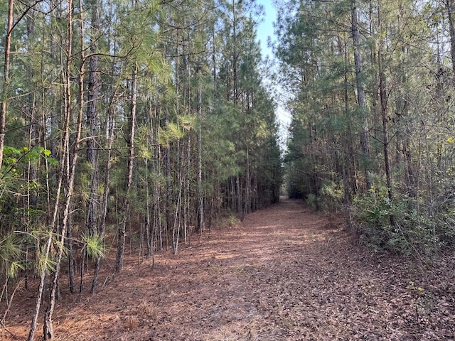 1139 Henry Walcott Rd, Ludowici, GA 31316 - photo 3