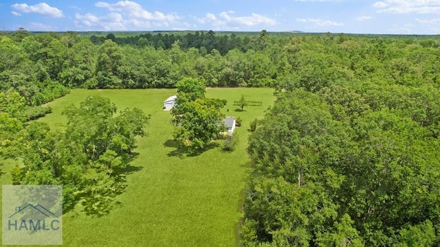 10581 Waycross Hwy, Screven, GA 31560 - photo 56