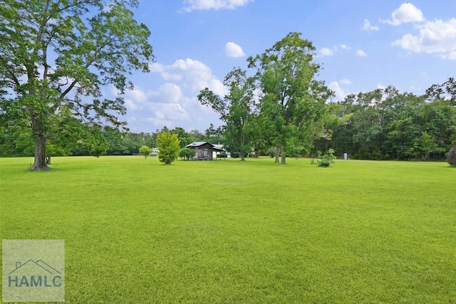 10581 Waycross Hwy, Screven, GA 31560 - photo 9