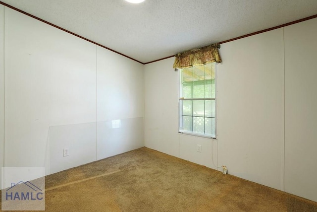 10581 Waycross Hwy, Screven, GA 31560 - photo 27